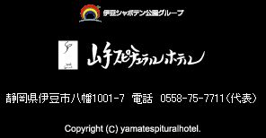 山手スピチュラルホテル