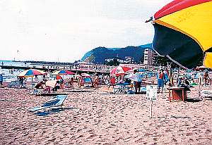 西伊豆最大の海水浴場徒歩2分・水着でOK