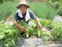 百姓ならおてのもの!まかせんしゃい♪~自家野菜の収穫風景~ 百姓ならおてのもの!まかせんしゃい♪~自家野菜の収穫風景~