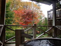 貸切露天風呂からの紅葉 貸切露天風呂からの紅葉