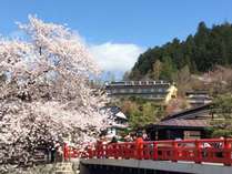 中橋から桜越しに見る当館(中央)桜の開花は例年4月中旬頃です 中橋から桜越しに見る当館(中央)桜の開花は例年4月中旬頃です