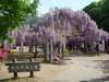 ���{��̓��������S�[���f���E�B�[�N�������ł���