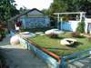 �w�Z�ŁA�ۂ̕����烁�^���K�X�����A�Ɩ��⒲���p�K�X�Ƃ��Ďg�p�B�I���������Project�̔엿��