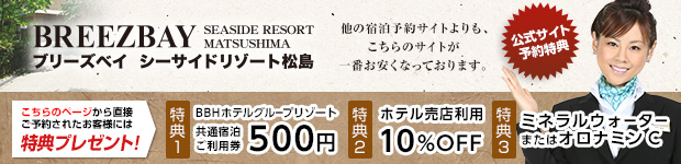 �u���[�Y�x�C�V�[�T�C�h���]�[�g�����i�a�a�g�z�e���O���[�v�j