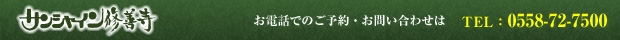 �C�P������܂�����̏h�@�T���V���C���C�P��
