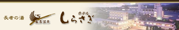�ʖ�����@�z�e�����炳��