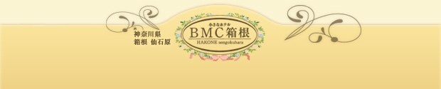 �����ȃz�e���@BMC����
