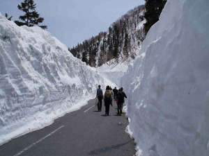 「乗鞍岳春山バス」6/30まで雪の感触を体感できますよー♪