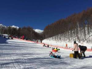 �Ƒ��Ŋy���߂�u�L�b�Y�p�[�N�̂肭�����h�v