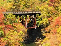 HP限定【休日限定】【マイカー割】秋の信州・開田高原を走って、味わって、持ち帰る。紅葉・星空の絶景とお土産特典付♪