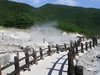 �y�_��n���z���R�̈̑傳�������܂��B