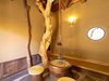 �y����a�m���z�u�|�ш��v�؂̂ʂ����肪�������錺��