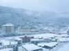 �~�̐�i�F