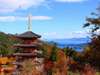 「成相寺」は山奥にたたずむ謎に包まれたお寺のパワースポット！