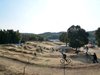 GONZO PARK