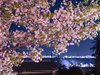 �t�ɂ͍����炫�ւ�܂��B