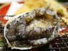 鸂̗x��Ă�