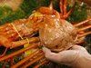 香住漁港でとれたての紅ズワイ蟹の『番蟹』ともいうべき活香住ガニ。贅沢な身の入りと味噌も旨い