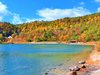 �y�����z�g�t�͗�N10�����{�`11����{����܂Łi�C��ɂ��ϓ����܂��j