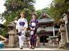 ����̑P�����̕ʏ��̖k���ω����Q�q���āy���Q��z�ƂȂ�̂ŁA�����v�t�o���肤�Ȃ痼�Q�肪�I�X�X����