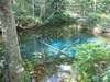 秘沼～神の子池碧く透明な水があなたを魅了します（写真は夏季）　写真提供：アトレーユ