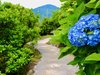 3000�؂̕~�n�B�O���E����܂ł݂͂��񔨂ؘ̖R��̏������U�􂵂Ȃ���������܂�