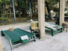 ACAO FOREST_X̃Q[R[i[