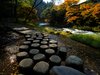 絶景の散策スポット秋の鶴仙渓
