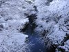 冬の鶴仙渓。雪と渓谷の美しい景色をお楽しみください。