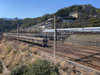 gCr[