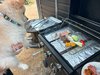 ���y�b�g�ƈꏏ��BBQ���iMIASA BASE�Q��3��4�̂݃y�b�g�j