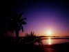 �ɐ��u���T�~�b�g�J�Â̒n�I�I�u���̔������[�i