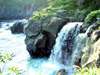 ◆自然研究路添いを流れる「対島川（たじまがわ）」から直接海に流れ込む珍しい滝です。