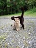 �݁[�����Ƃ��[�����͂����ꏏ��