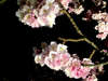 y~`tzݍ