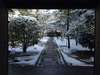 大徳寺の雪景色。