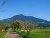 西の富士、東の筑波と称される標高877mの筑波山！