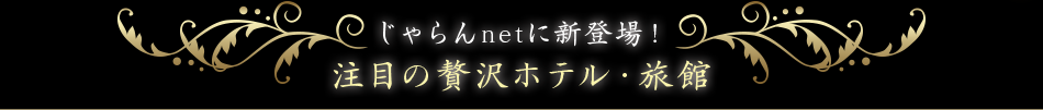 ������net�ɐV�o��I���ڂ��ґ�z�e���E����