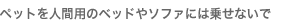 �y�b�g��l�ԗp�̃x�b�h��\�t�@�ɂ͏悹�Ȃ���