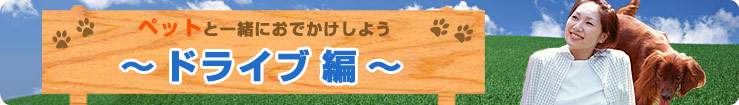 �y�b�g�ƈꏏ�ɂ��ł������悤�I�`�h���C�u�ҁ`